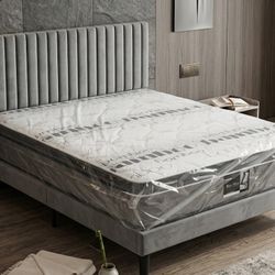 New Queen Bed Frame + Plastic Sealed Queen Mattress + Box Spring 