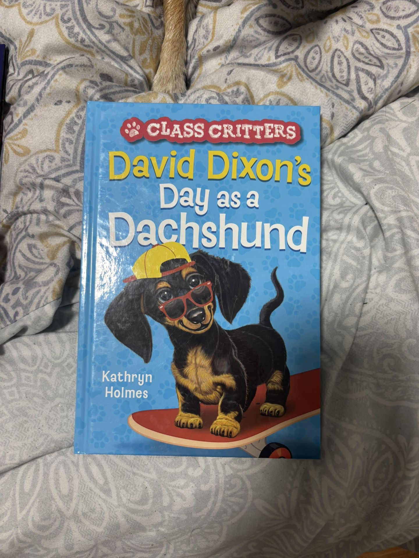 1st Grade Books