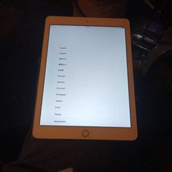 iPad 