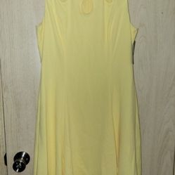 Women's Dress Size 12 
