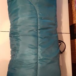 Coleman Sleeping Bag