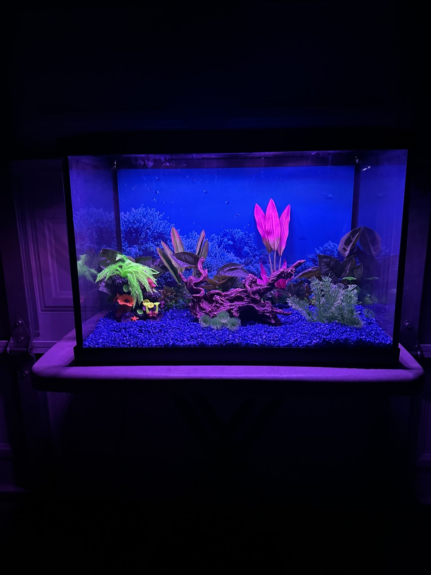 Fish Tank 20 Gallons With Different Color Of Lights