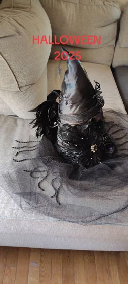 Witch Hat And Broom.