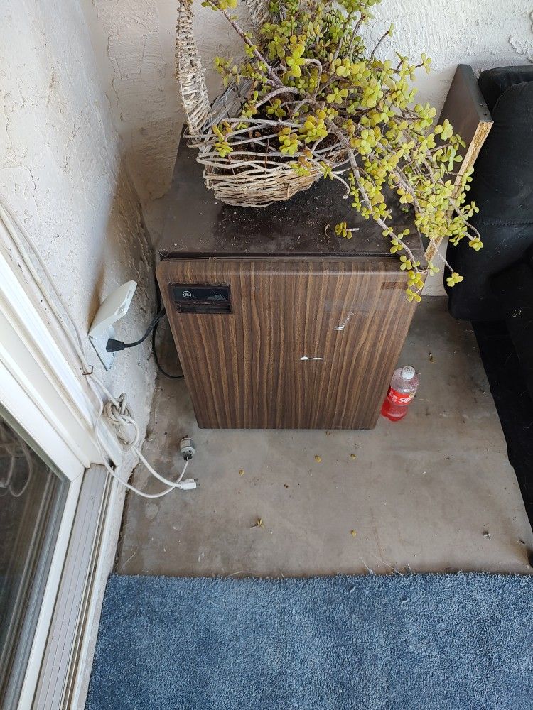 Mini Fridge