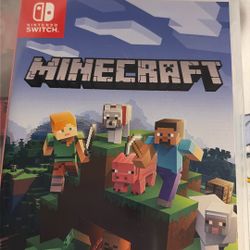 Minecraft Nintendo Switch