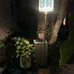 Floor Lamp - 🌙 Meet “Luna”—Your New Glow-Up Guide 🌙