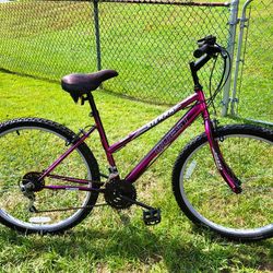 Quest Sierra Mountain bike - 26 inch 15 Speed