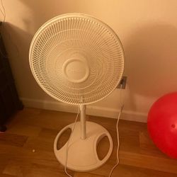 Fan