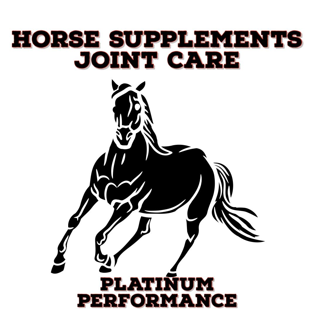 Horse Supplements