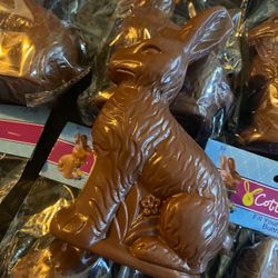 New Plastic Chocolate EASTER Bunny Egg/ Treat Container