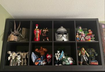 Display organizer with all the action figures