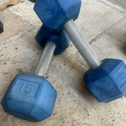 15 Lbs Dumbbell x2