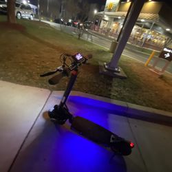 Circooter Mate Electric Scooter, 10" Tires, 800W Motor E-Scooter Up to 28 Miles Range, Top Speed 28 MPH, Adjustable Handlebar Height, Folding Commutin