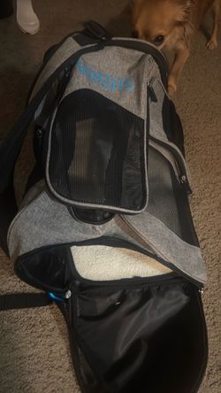 Small cat or dog carrier rated for airplanes