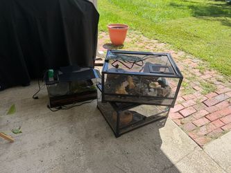 Terrarium