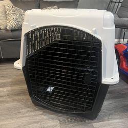 Dog Cage 