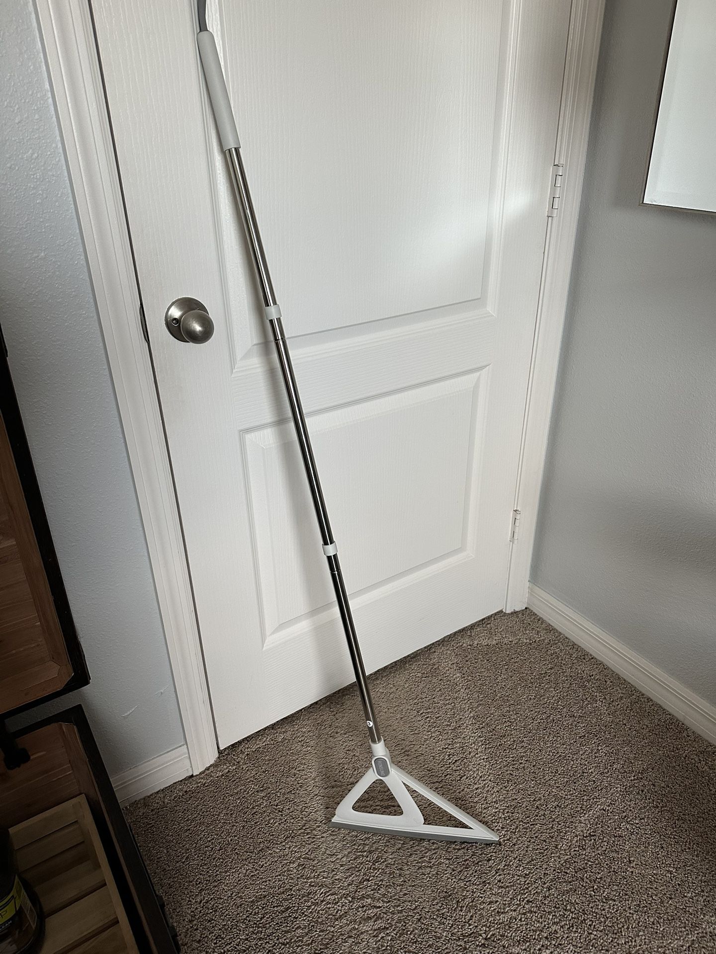 Pet Hair Broom
