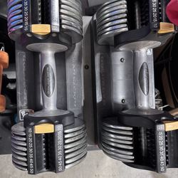 Gold Gym Adjustable Dumbbells 50lbs each