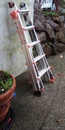 Little giant ladder