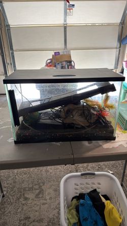 Fish Tank