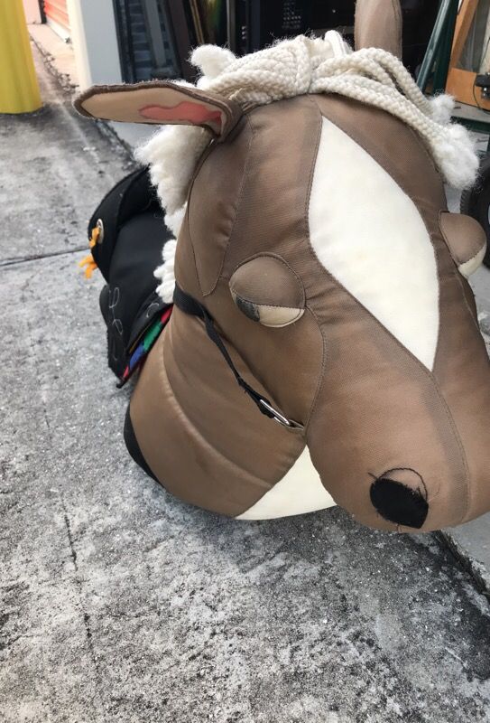 Riding Horse