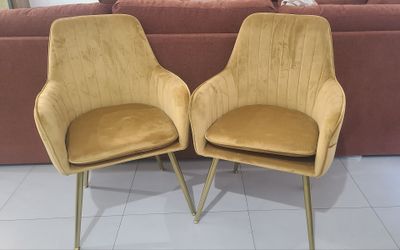 Earthy Yellow Dinning Chairs Set of 2