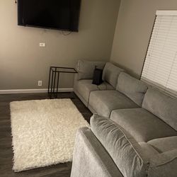 Gray Couches 