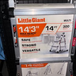14 Foot ladder