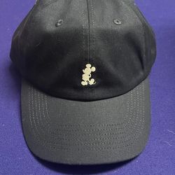 Brand New Disney Baseball Cap sold at Disneyland