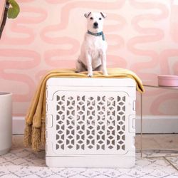 Collapsible Kindtail Kennel - Medium - with Custom Fit Primo Pad