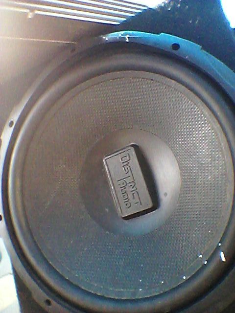Distinct audio 12 subwoofer 2025