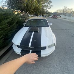 2007 Ford Mustang 2,500 OBO