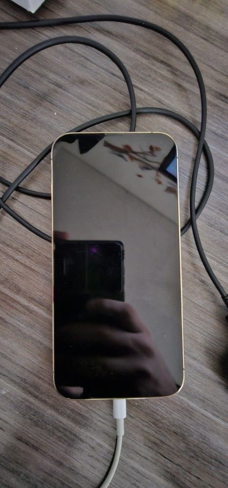 iPhone 13 Pro Max 512 GB Gold