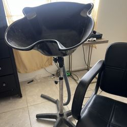 Portable salon washing bowl