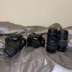 Canon Cameras And Lenses