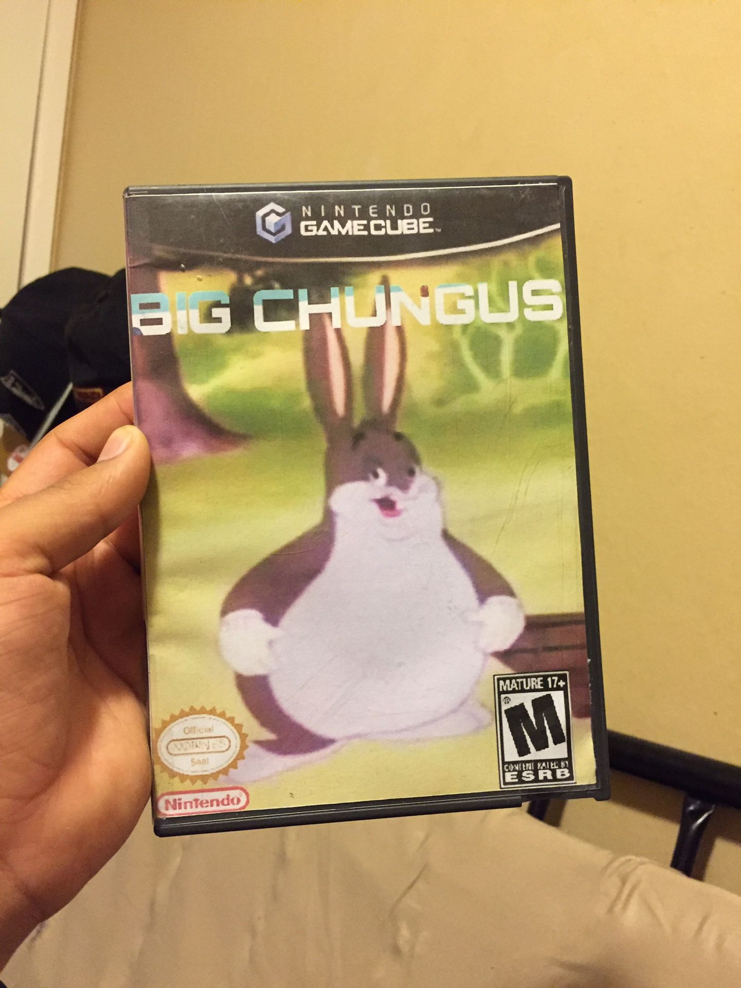 Big Chungus for the Gamecube complete