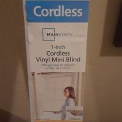 Cordless Vinyl Mini Blind