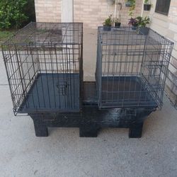 Kennels