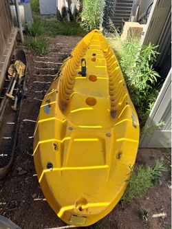 Kayak