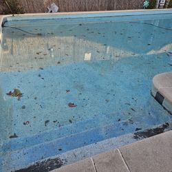Pool For The Summer