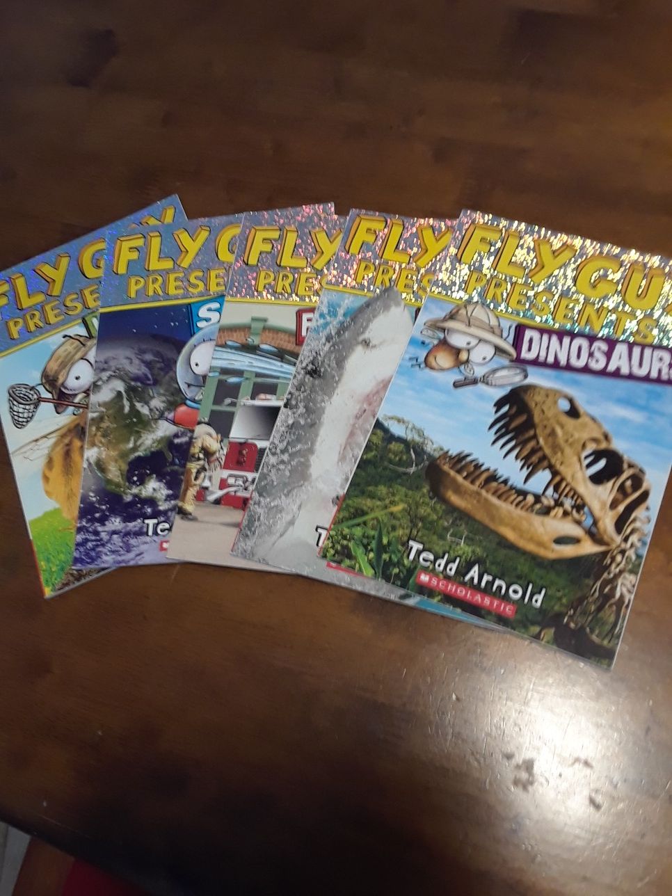 Fly Guy books