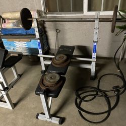 Bench And Preacher Curl Bench 