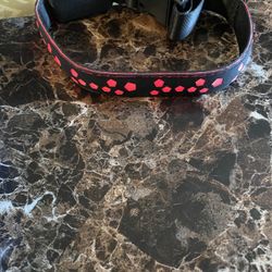 Medium LED rechargeable changing light collar
