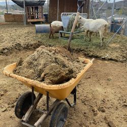 Estiércol/ Abono orgánico de chivo para los árboles. Organic Goat manure/fertilizer