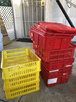 Plastic Baskets with lid.