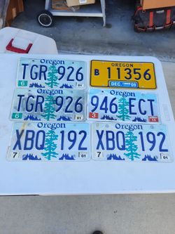 6 License Plates