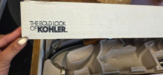 Kohler Water Rinser