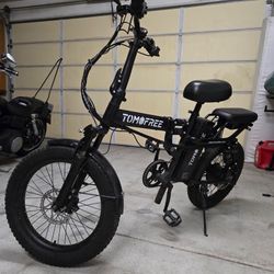 Electric E Bike Two Seater