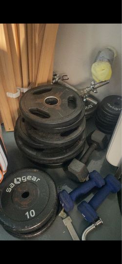 Various gym weights (cheap!)