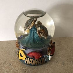Hawaii Snowglobe 